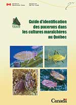 Guide d'identification des pucerons dans les cultures maraîchères au Québec